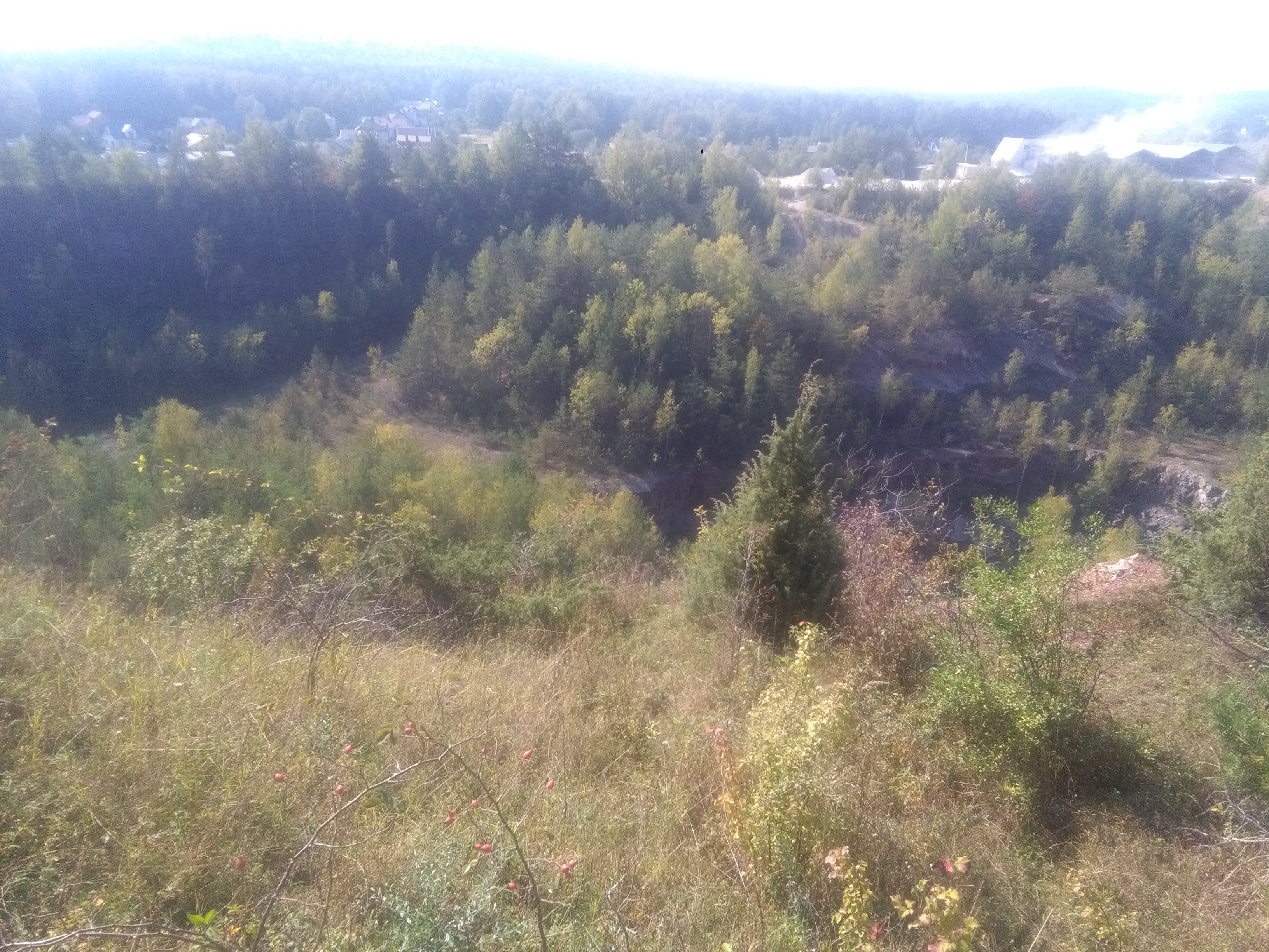 Rezerwat Chelosiowa Jama